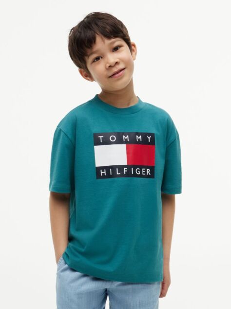 Blue Heritage Flag Print Jersey T-Shirt  Boys