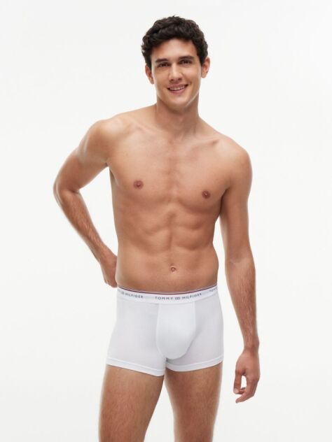 Multi 3-Pack Global Stripe Logo Waistband Trunks  Men