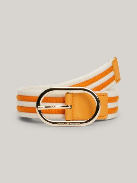 Multi Chic Stripe Webbing Belt  Women