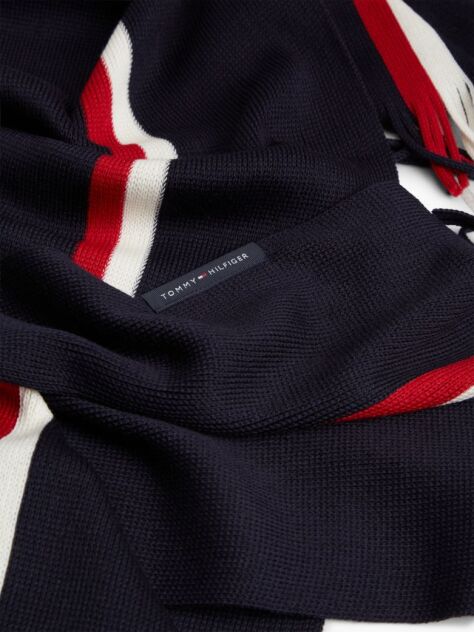 Blue Global Stripe Wool Blend Scarf  Men