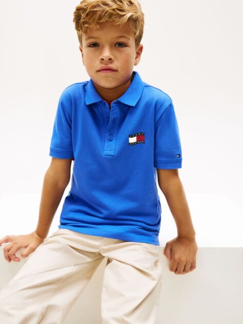 Blue Regular Fit Wavy Flag Polo Shirt  Boys