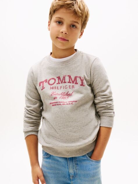 Grey Faded Logo Print Crew Neck Sweatshirt  Boys