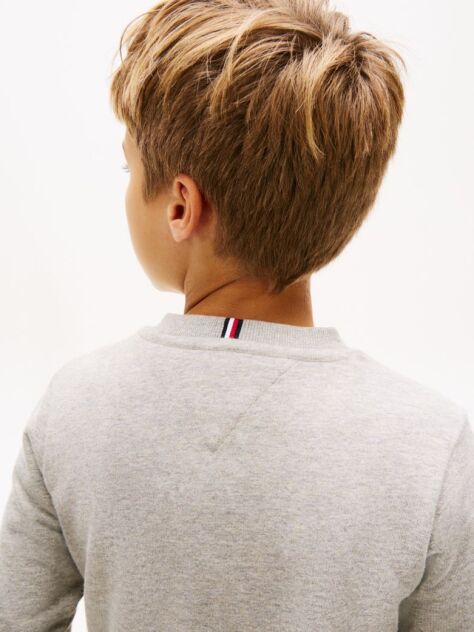 Grey Faded Logo Print Crew Neck Sweatshirt  Boys
