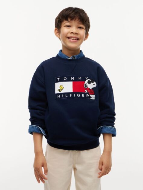 Blue Peanuts® Flag Graphic Embroidery Jumper  Kids Unisex
