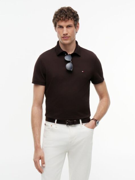 Brown 1985 Organic Cotton Regular Fit Polo  Men