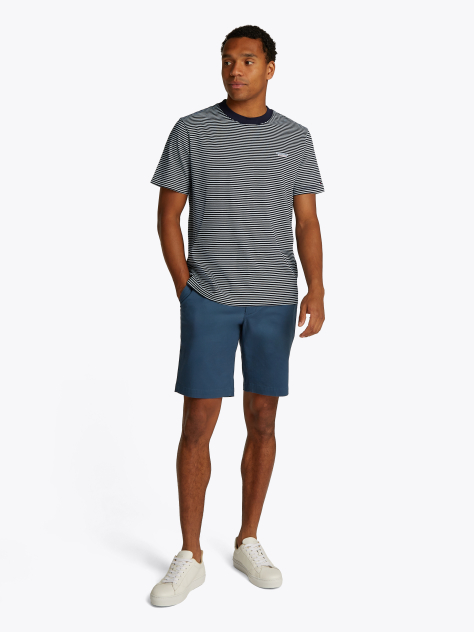 Multi Monotype Stripe T-Shirt  Men