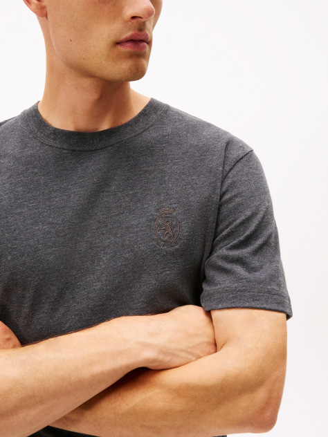 Γκρι Varsity T-Shirt Με Κέντημα  Άνδρες