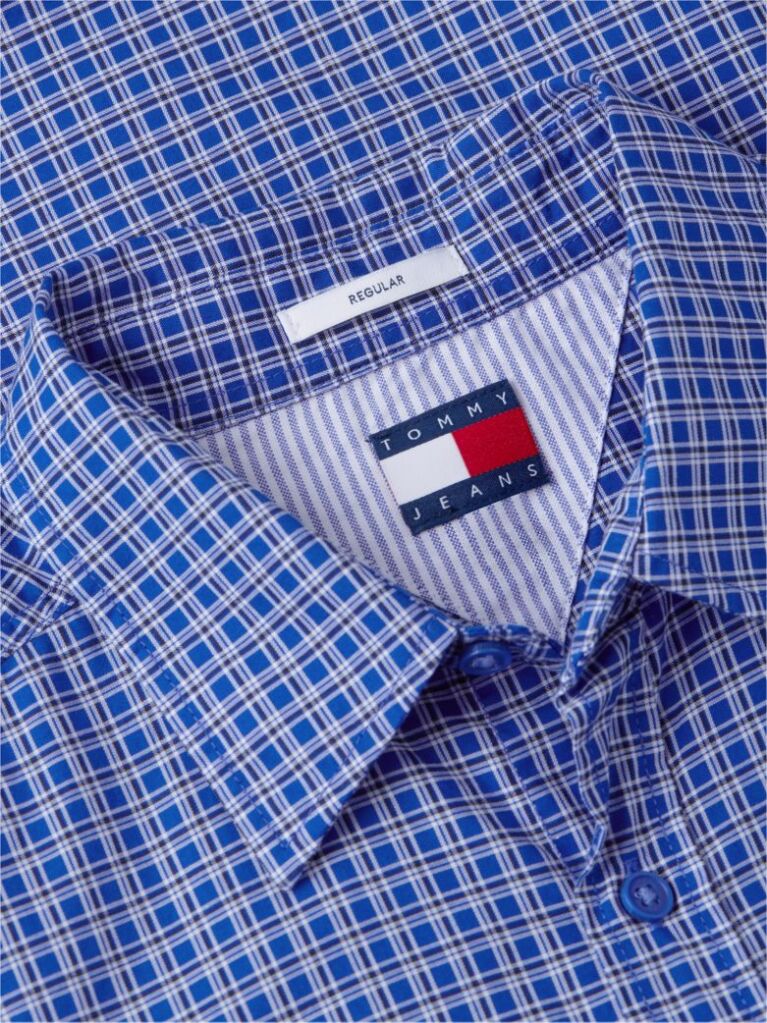 Blue Regular Fit Pattern Poplin Shirt  Men