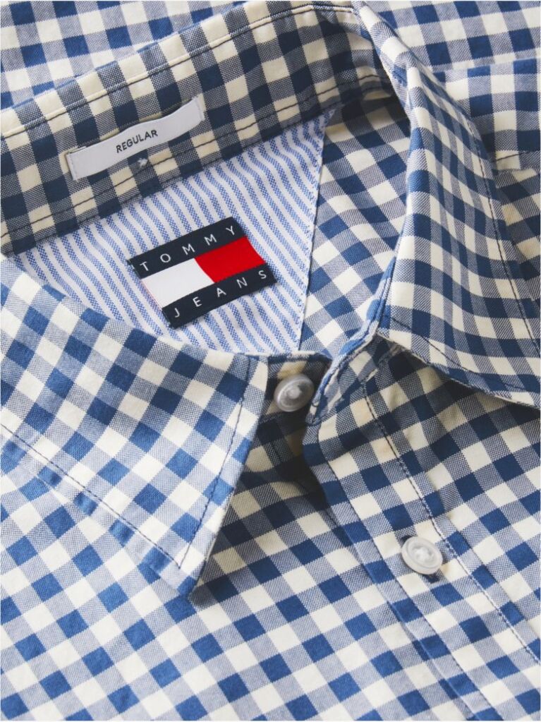 Multi Regular Fit Check Oxford Shirt  Men