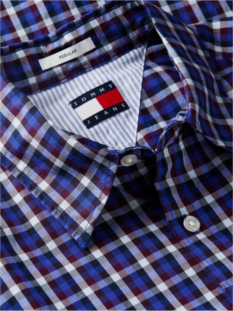 Multi Regular Fit Pattern Poplin Shirt  Men