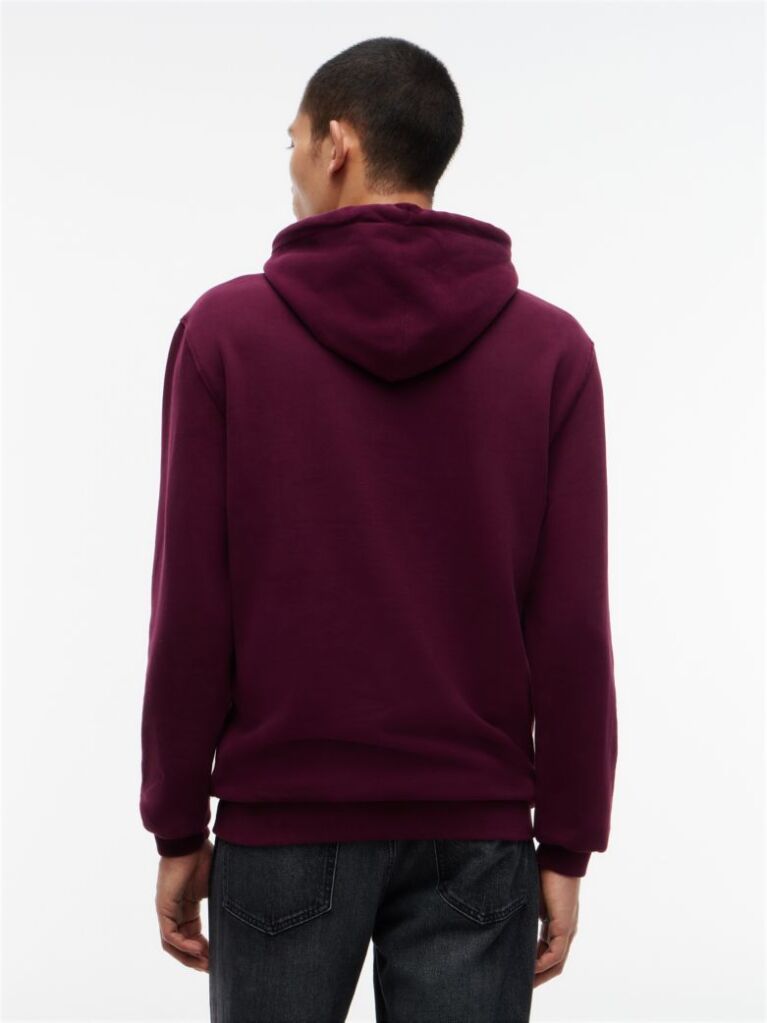 Purple Wavy Flag Graphic Terry Drawstring Hoody  Men
