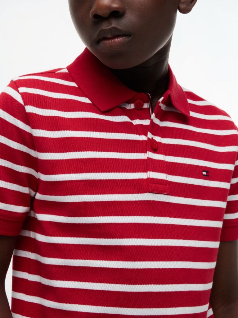 Multi Essential Flag Embroidery Regular Fit Polo  Boys