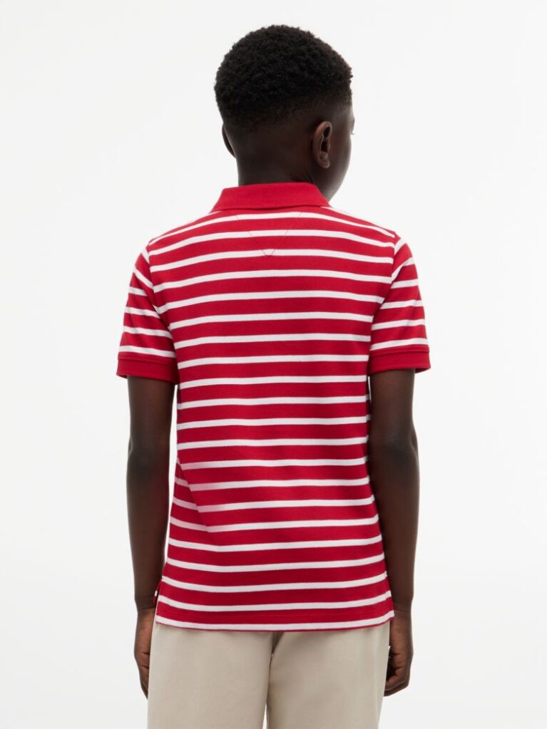 Multi Essential Flag Embroidery Regular Fit Polo  Boys