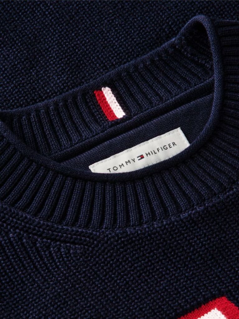 Blue Logo Graphic Jumper  Boys