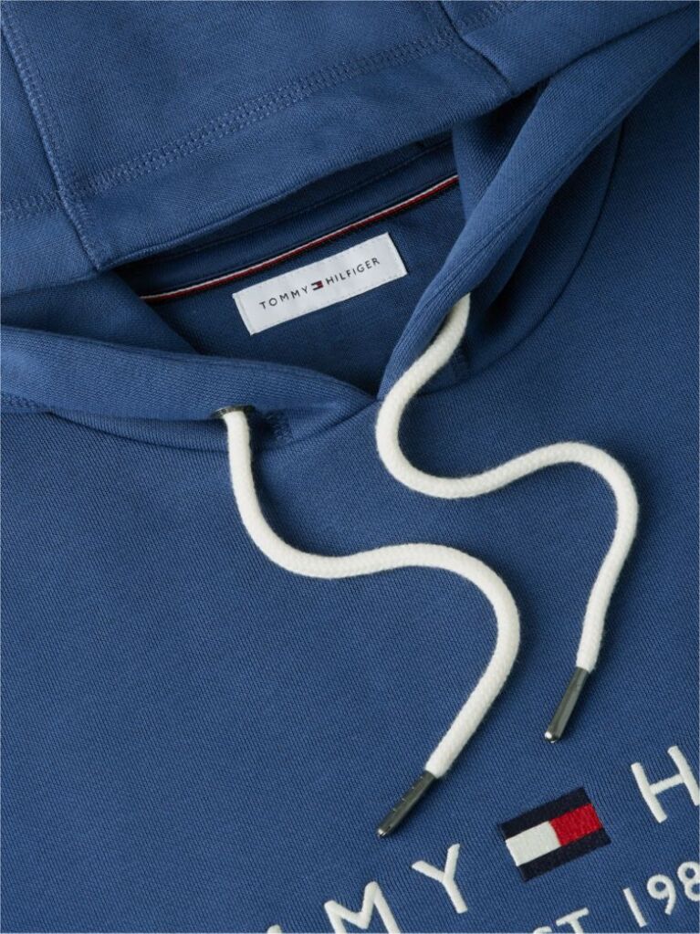 Blue Flex Logo Hoody  Men