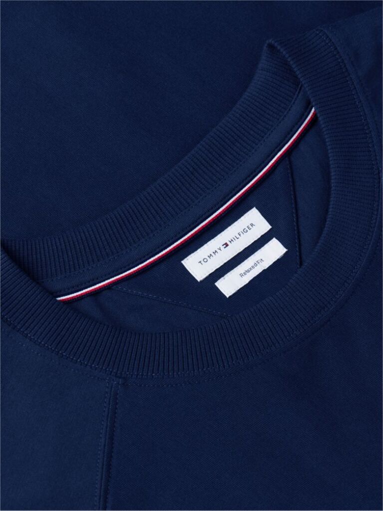 Blue Flag Raglan Sleeve Relaxed Jersey T-Shirt  Men