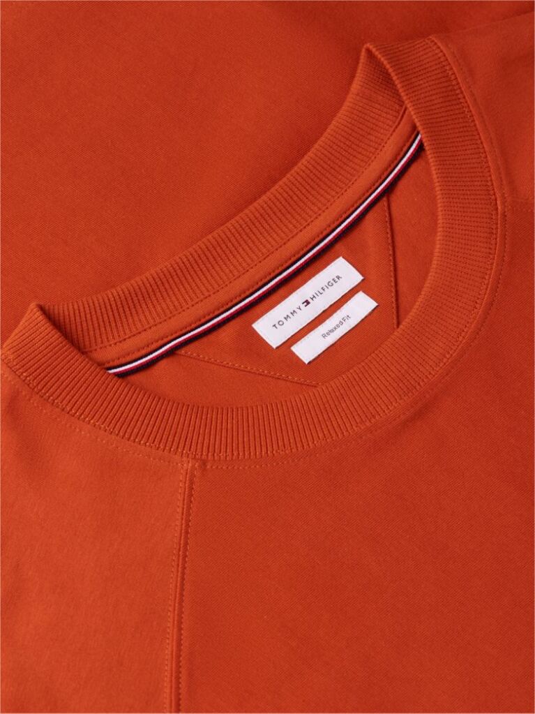 Orange Flag Raglan Sleeve Relaxed Jersey T-Shirt  Men