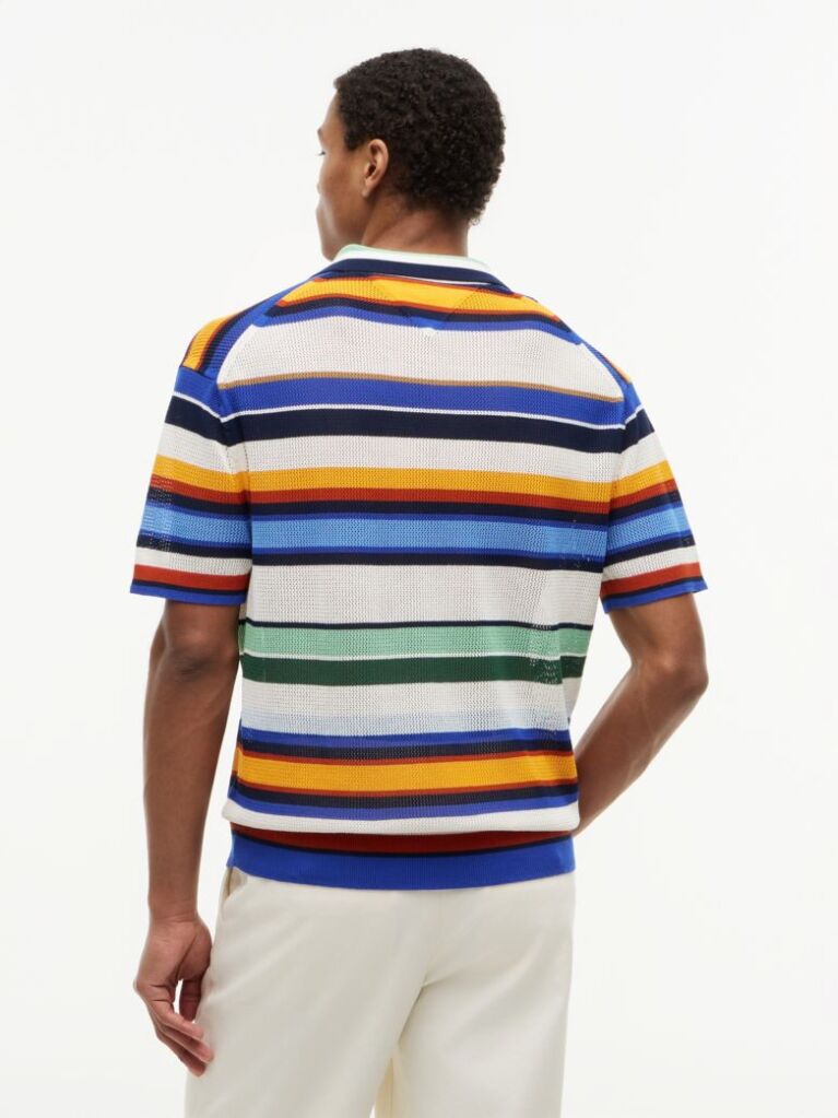 Multi Relaxed Fit Multicolour Stripe Polo Shirt  Men