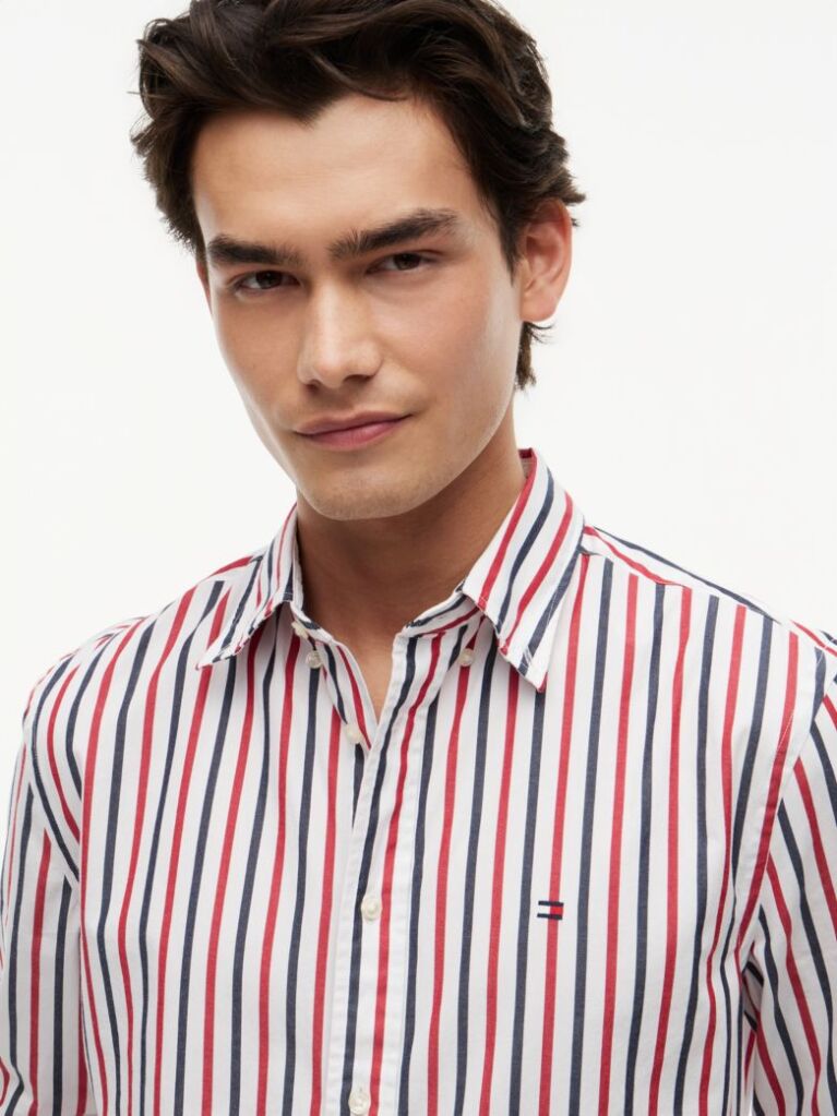 Multi Regular Fit Flex Stripe Poplin Shirt  Men