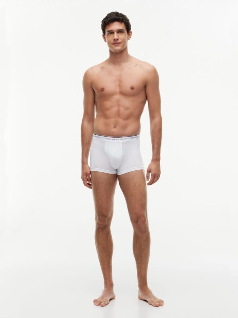 Multi 3-Pack Global Stripe Logo Waistband Trunks  Men
