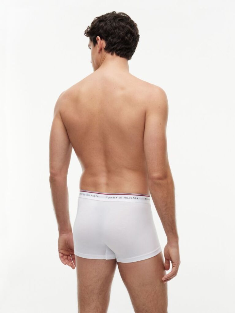 Multi 3-Pack Global Stripe Logo Waistband Trunks  Men