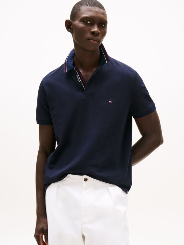 Blue Regular Fit Tipped Collar Polo Shirt  Men