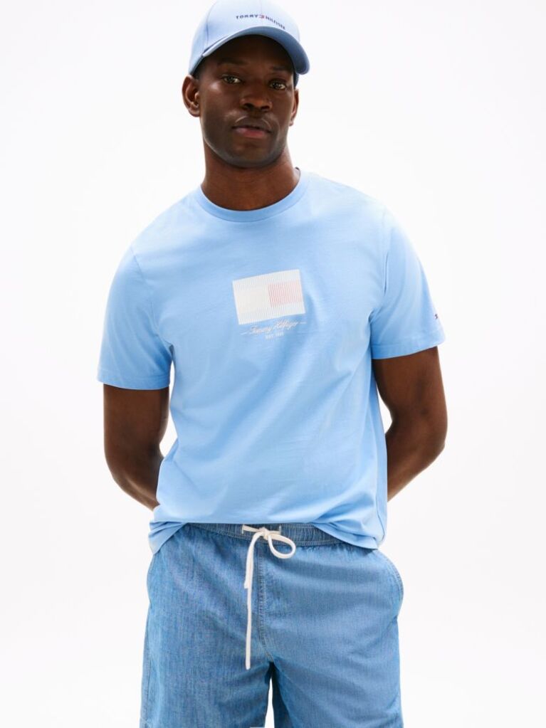 Blue Ithaca Stripe Flag T-Shirt  Men