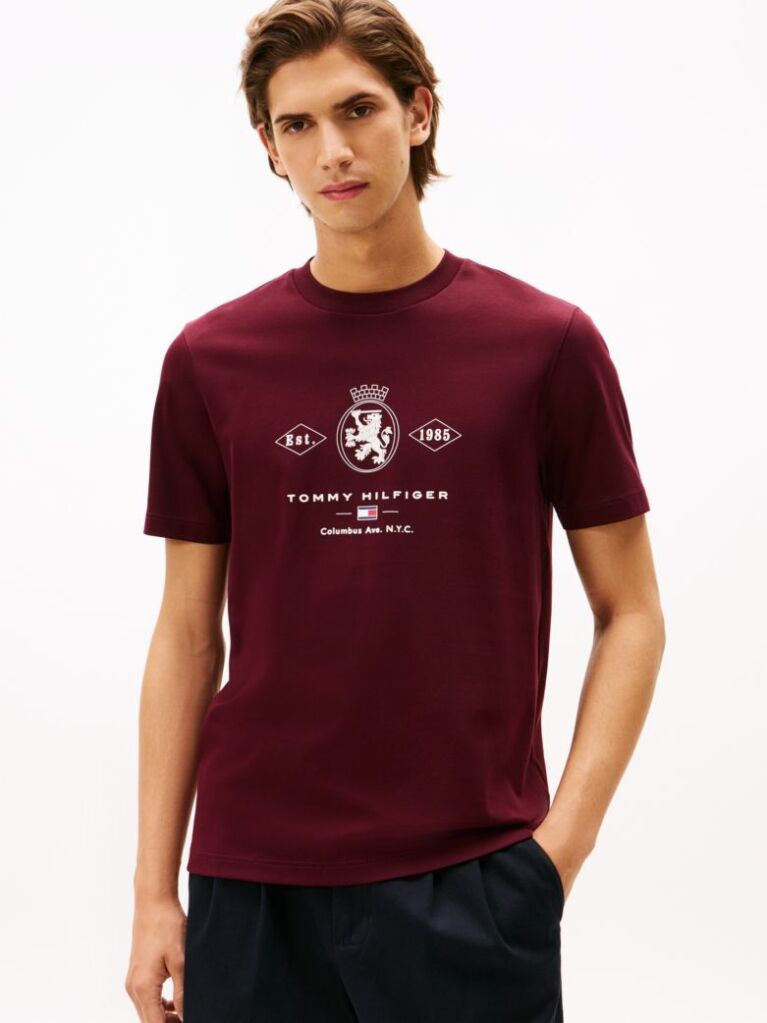 Red Varsity Graphic Interlock Knit T-Shirt  Men
