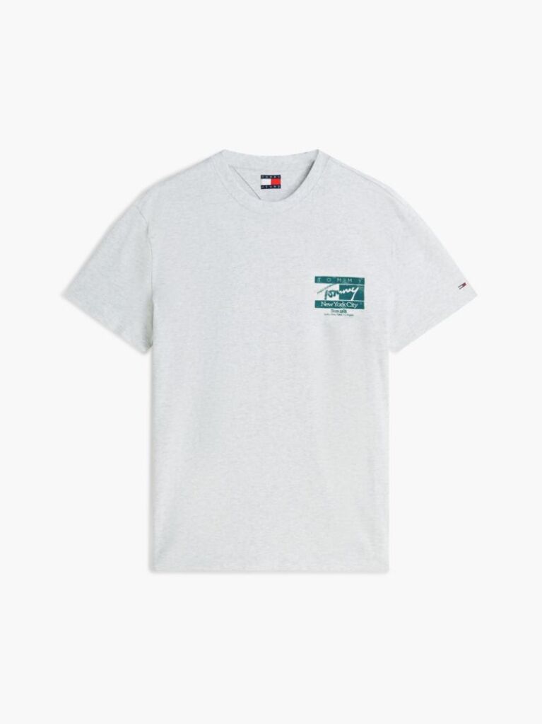 Grey Signature Logo Peached Jersey T-Shirt  Men