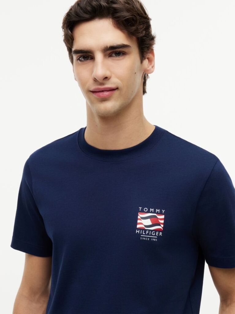 Μπλε T-Shirt Με Wavy Σημαία  Άνδρες