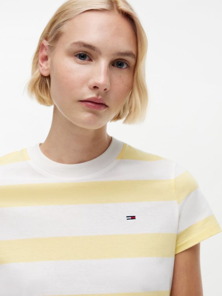 Flag Jersey T-Shirt — Citronella / Stripe