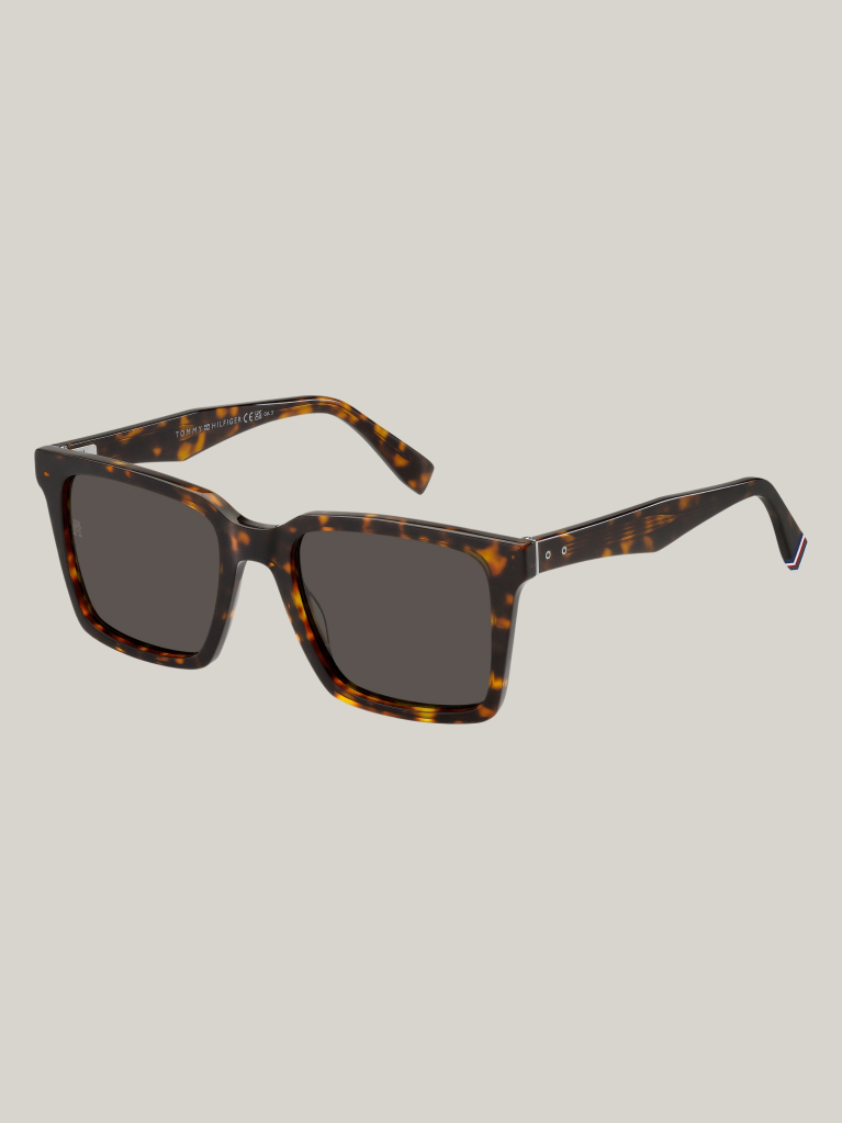 Brown Rivet Square Sunglasses  Men