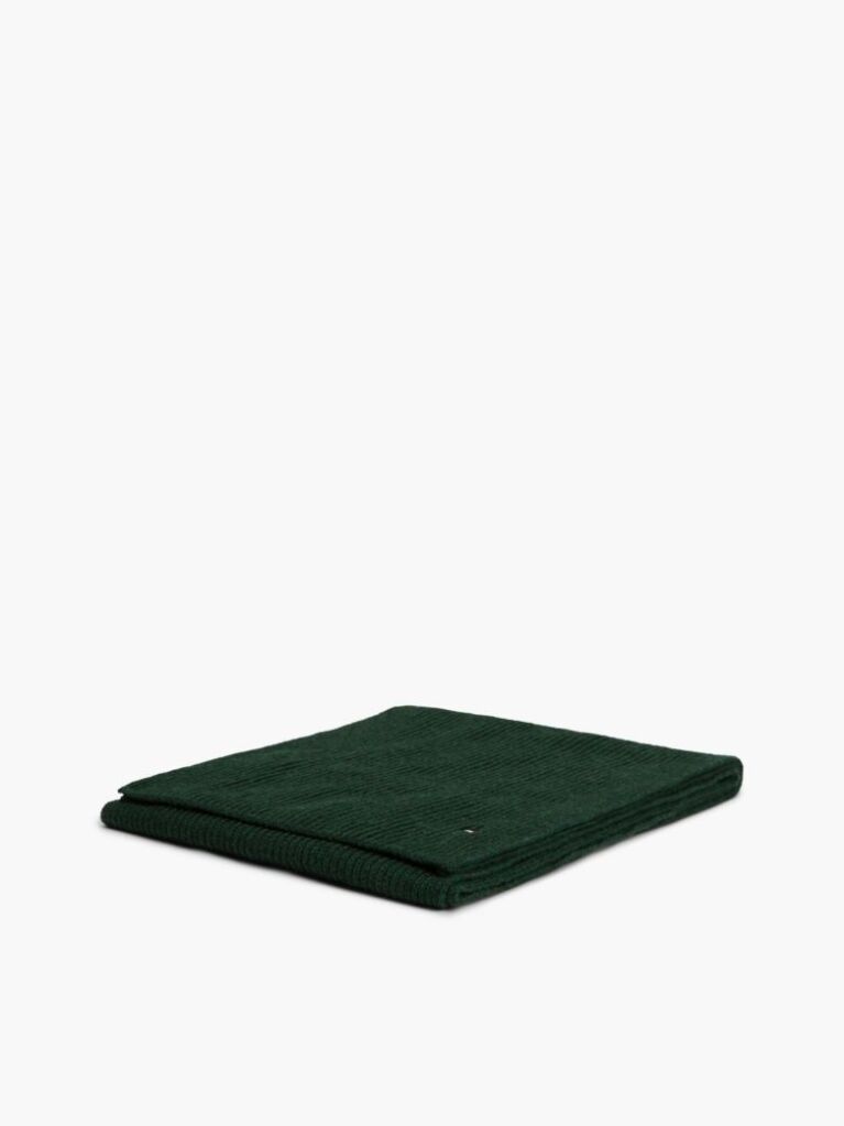 Green Hilfiger Flag Embroidery Scarf with Cashmere  Men