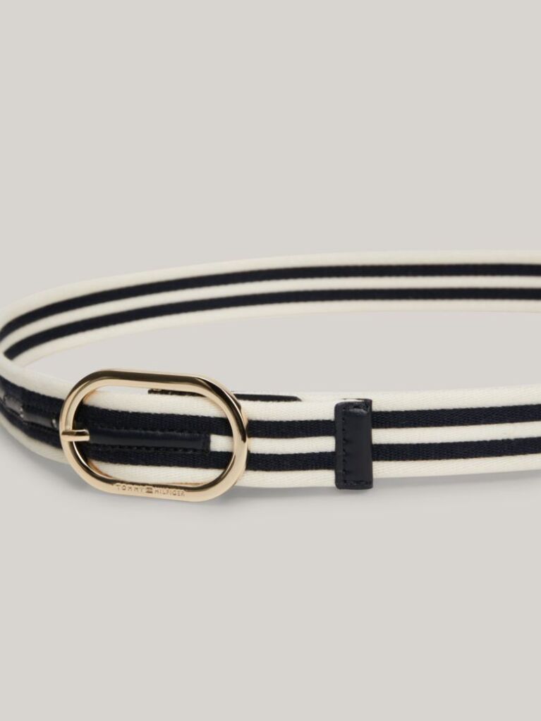 Multi Chic Stripe Webbing Belt  Women