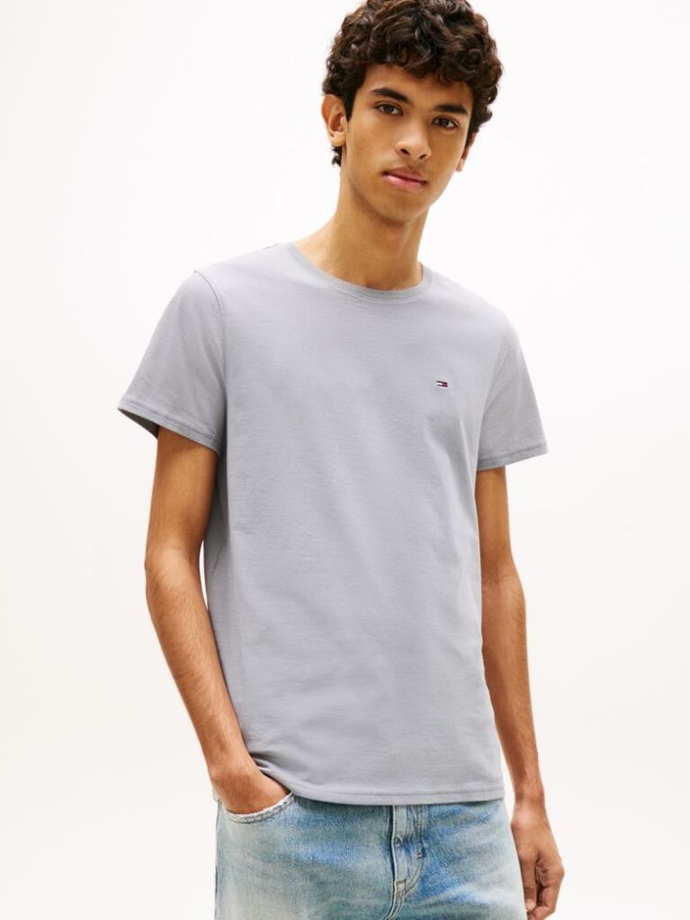 Γκρι T-Shirt Σε Κανονική Γραμμή Με Κλασική Λαιμόκοψη  Άνδρες