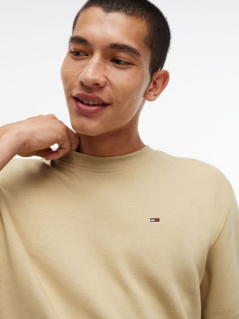 Beige Regular Sweatshirt Flag Crew Neck  Men