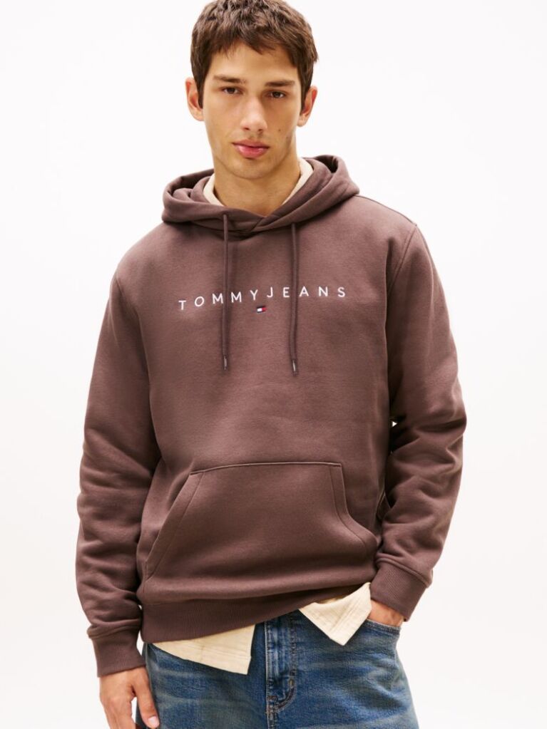 Brown Regular Logo Hoody  Men
