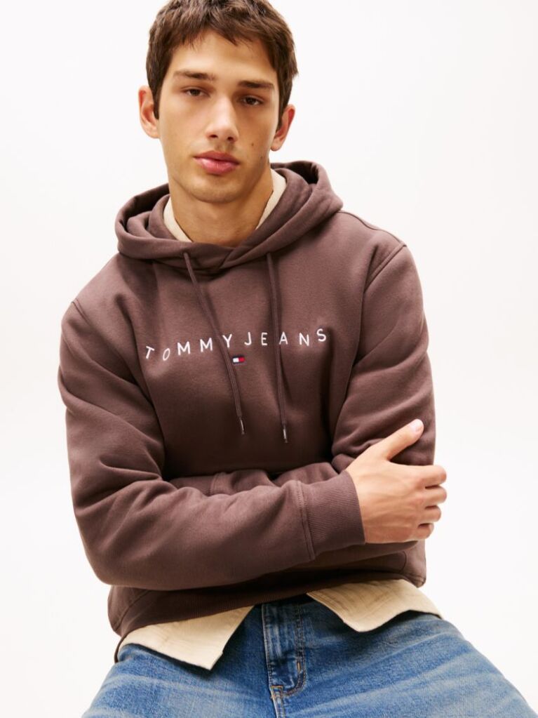 Brown Regular Logo Hoody  Men
