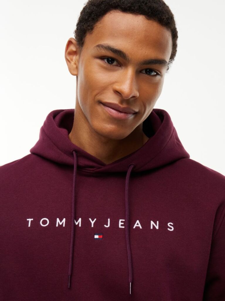 Purple Regular Logo Hoody  Men