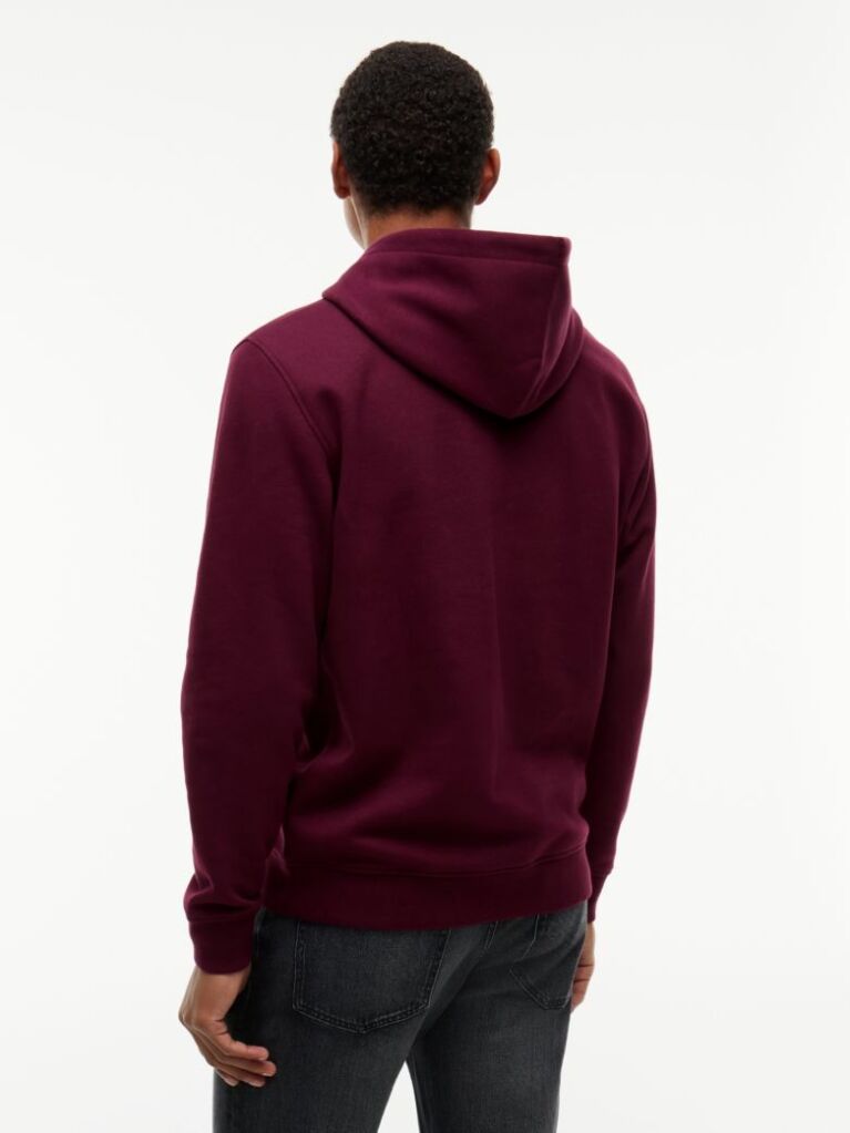 Purple Regular Logo Hoody  Men