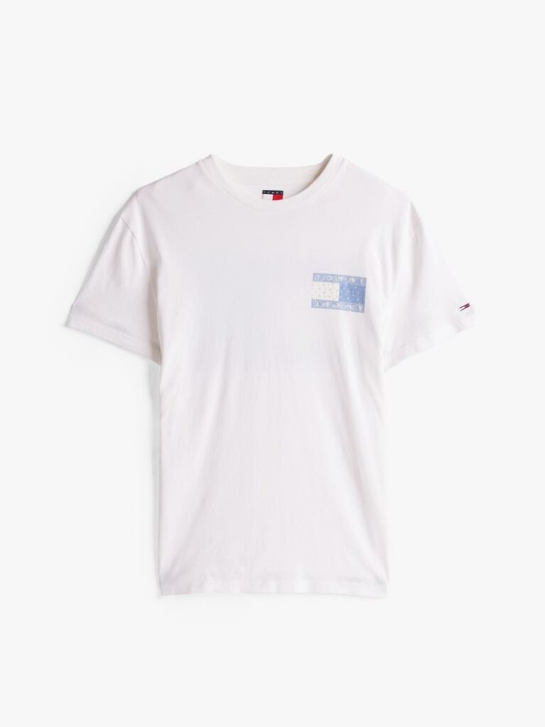 Beige Paisley Back Logo T-Shirt  Men