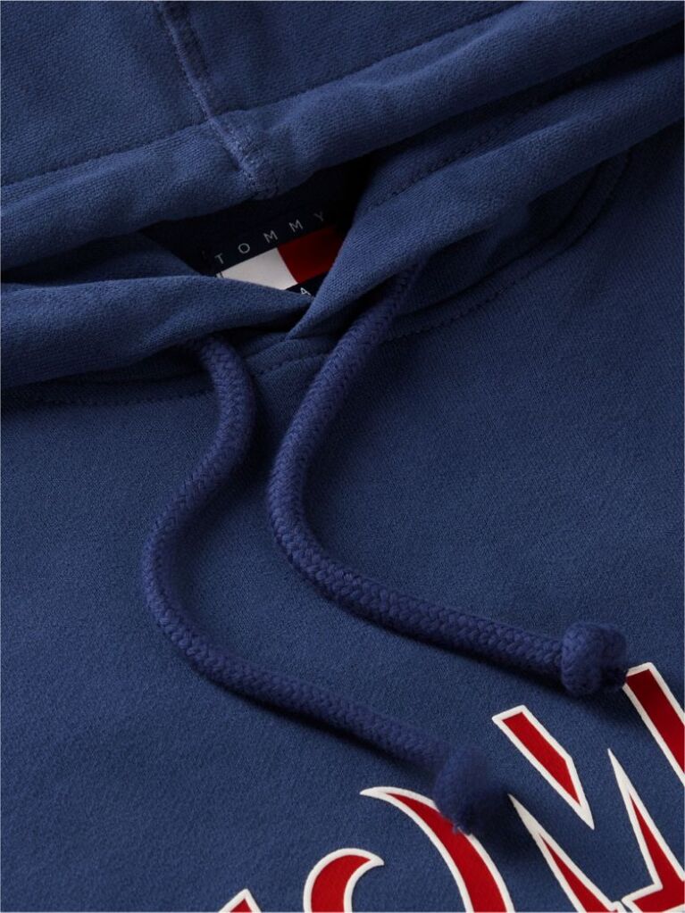 Blue Logo Relaxed Sueded Terry Hoody  Men