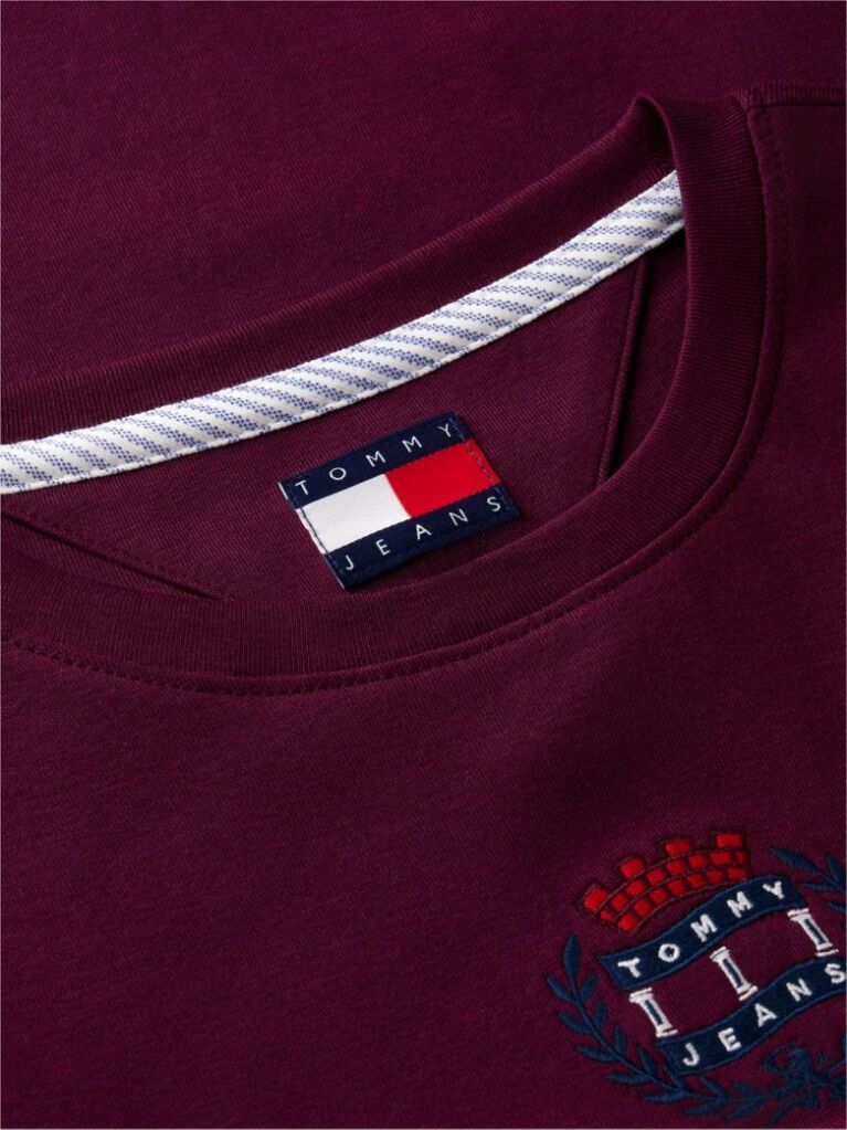Μωβ Μακρυμάνικο T-Shirt Σε Στενή Γραμμή Με Οικόσημο  Γυναίκες