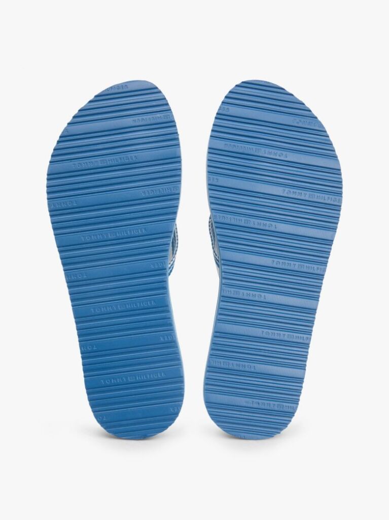 Blue Webbing Strap Signature Flip-Flops  Women