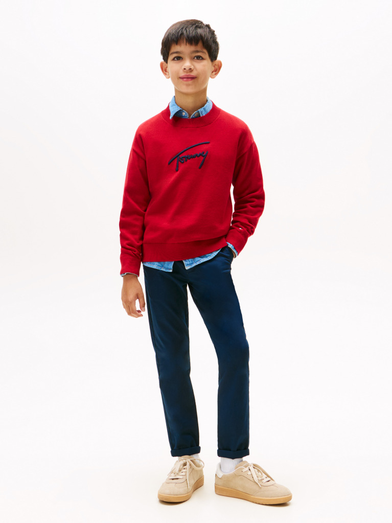 Blue 1985 Regular Fit Chinos  Boys
