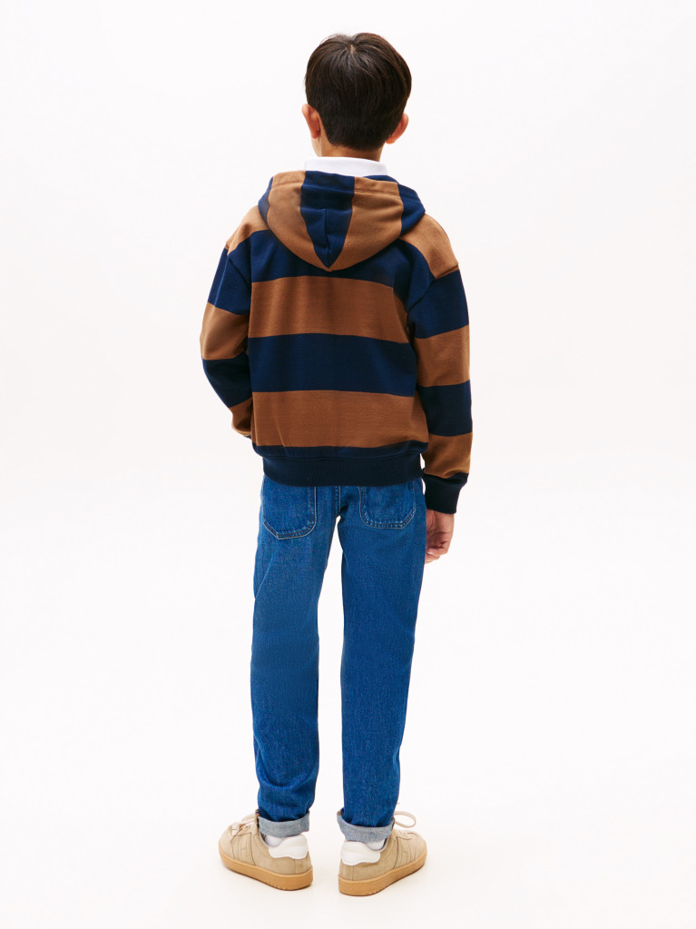 Multi Varsity Stripe Concealed Placket Hoody  Boys