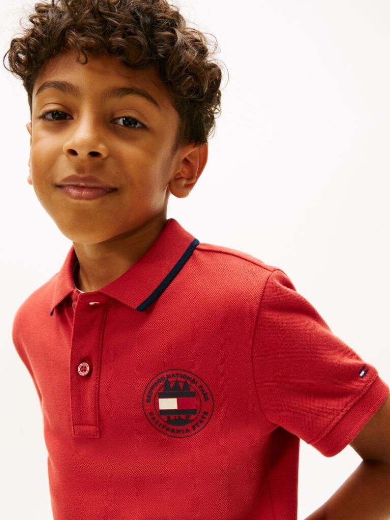 Red Graphic Polo Knit Polo Shirt  Boys