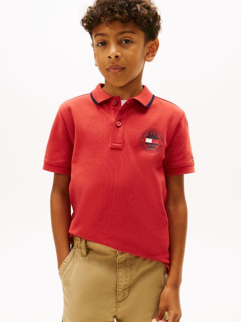 Red Graphic Polo Knit Polo Shirt  Boys