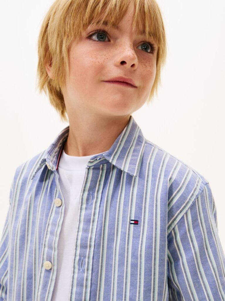 Blue Festive Regular Fit Stripe Oxford Shirt  Boys