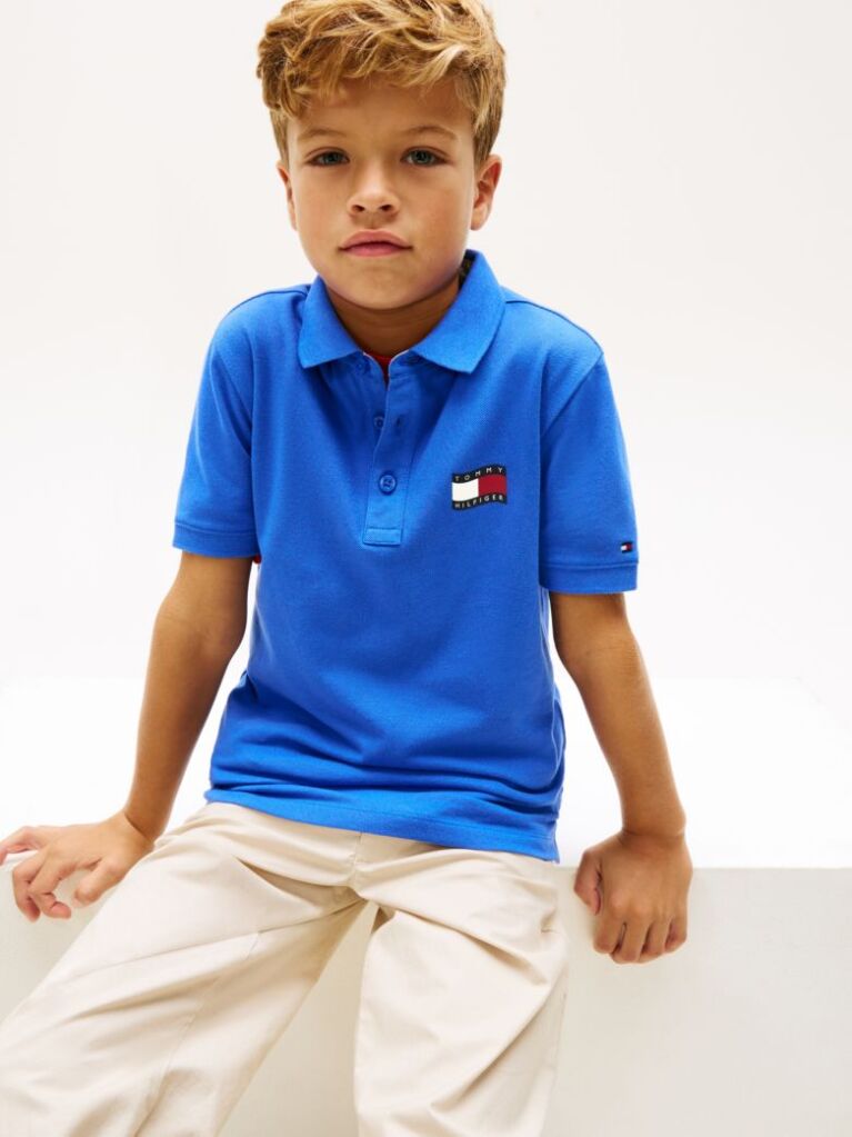 Blue Regular Fit Wavy Flag Polo Shirt  Boys